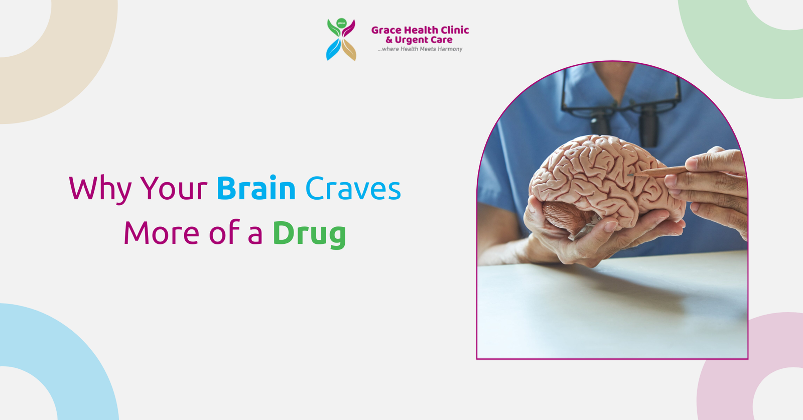 Brain Craves